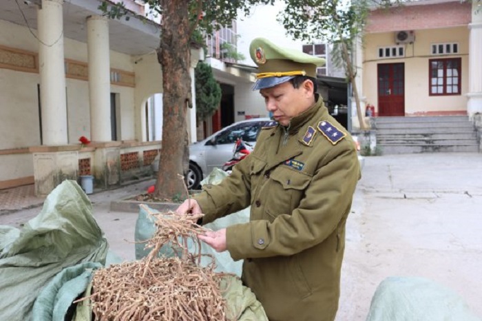 QLTT An Giang tiến hành lập biên bản vi phạm, tạm giữ các loại thuốc bảo vệ thực vật